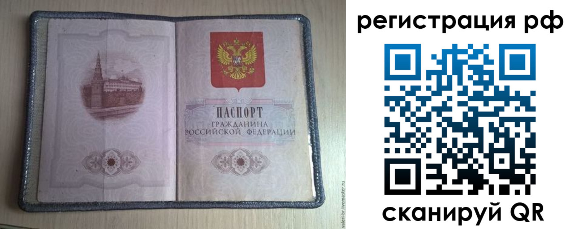 прописка поиск в Малой Вишере